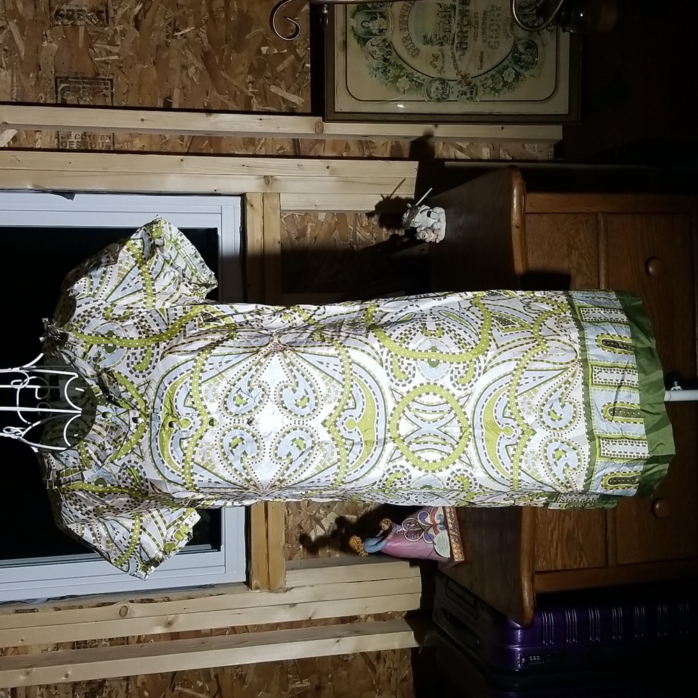 J. Crew silk dress. Size 4.